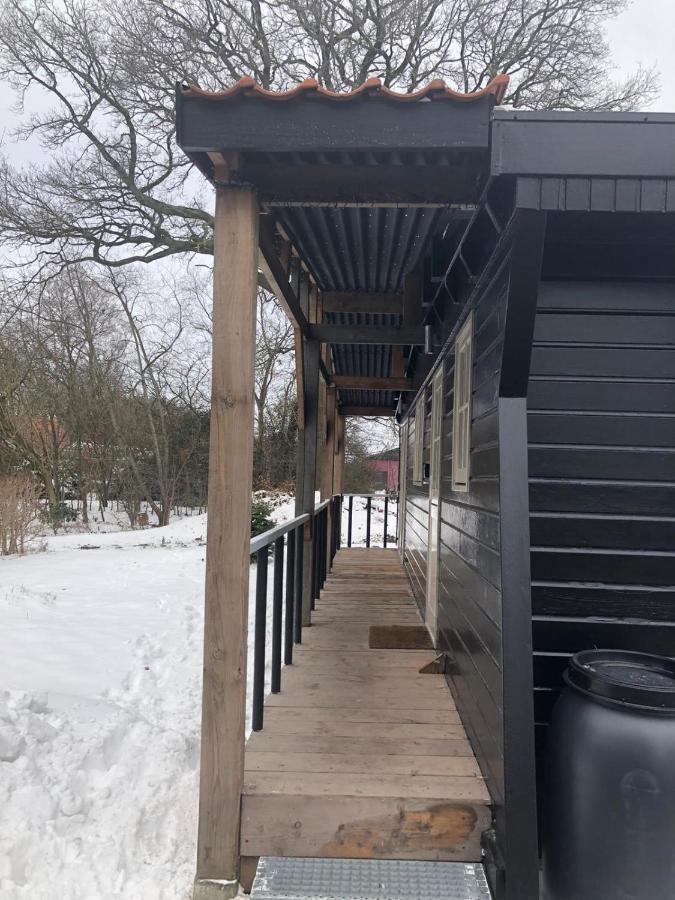 Chalet Het Wollinghuisje Vlagtwedde Екстериор снимка