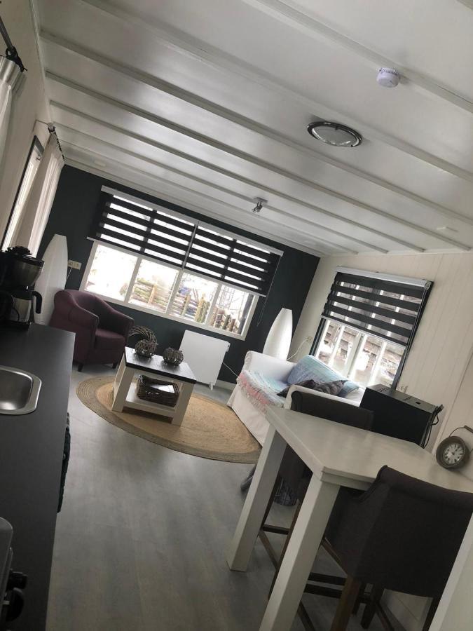 Chalet Het Wollinghuisje Vlagtwedde Екстериор снимка